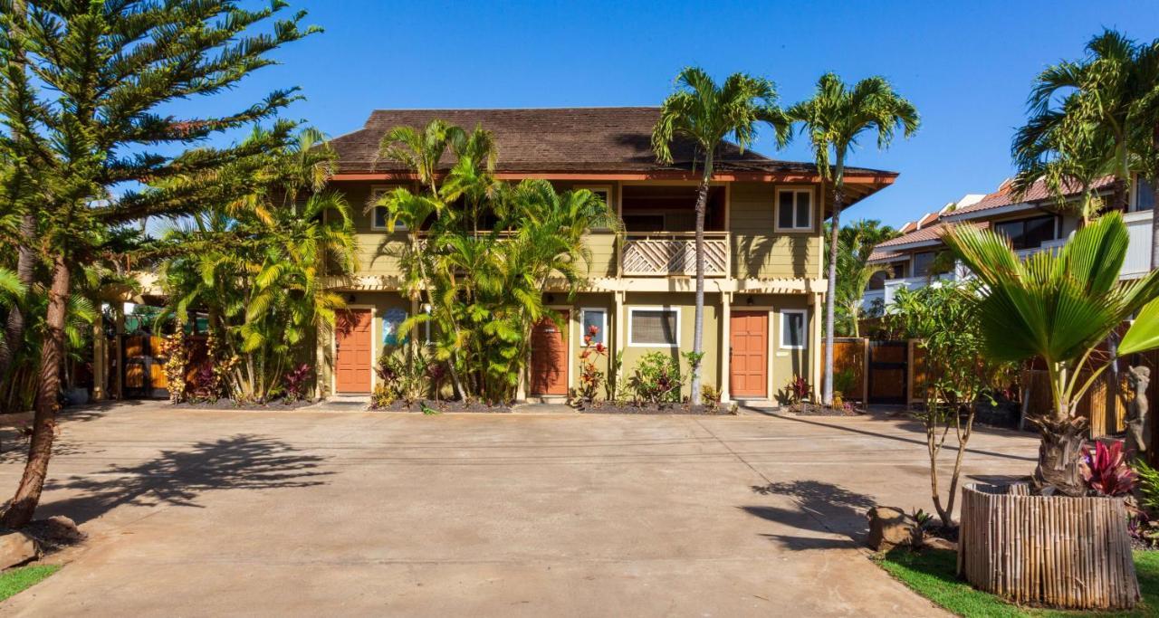 Studio With Mini Kitchen, Pool And Bbq, Pre-Renovation Summer Sale Kihei Buitenkant foto