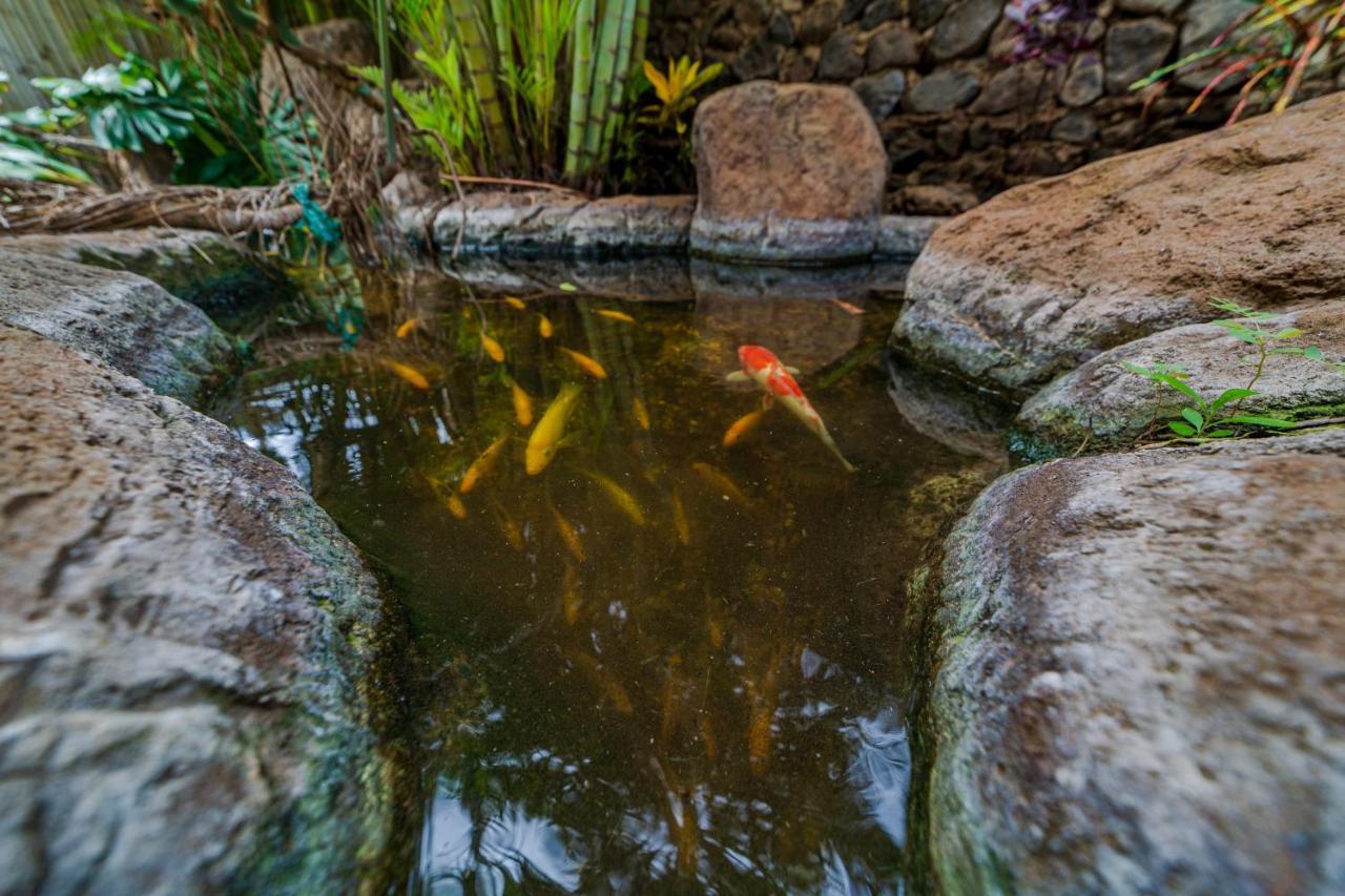 Studio With Mini Kitchen, Pool And Bbq, Pre-Renovation Summer Sale Kihei Buitenkant foto